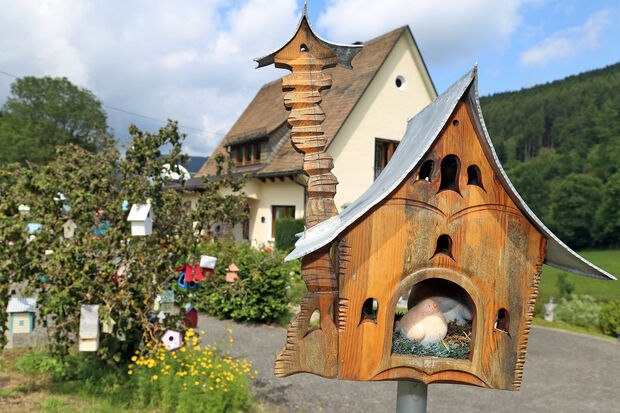 "Vogelhäuschen-Baum" an der Landstraße zwischen Saalhausen und Milchenbach FOTO: ANDREAS DUNKER