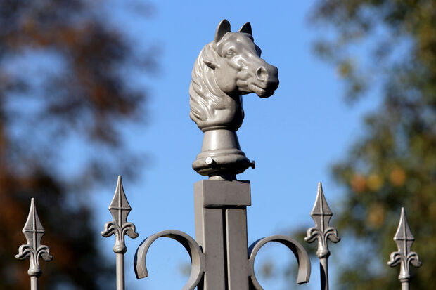 Schmiedeeisernes Tor am Eingang zum Beringhof ARCHIVFOTO: ANDREAS DUNKER