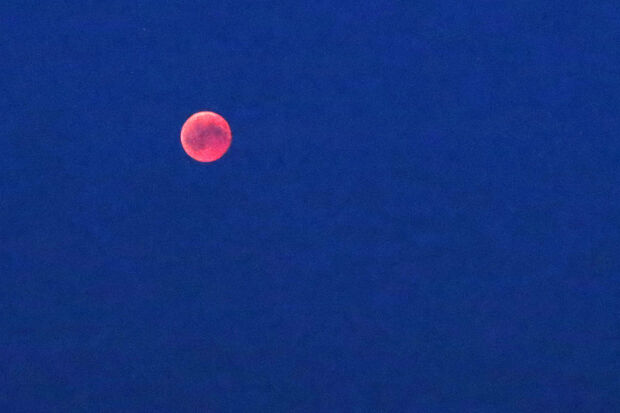 Farbiger Kontrast: der rote "Blutmond" zur "Blauen Stunde" am Abendhimmel über Wickede (Ruhr). FOTO: ANDREAS DUNKER