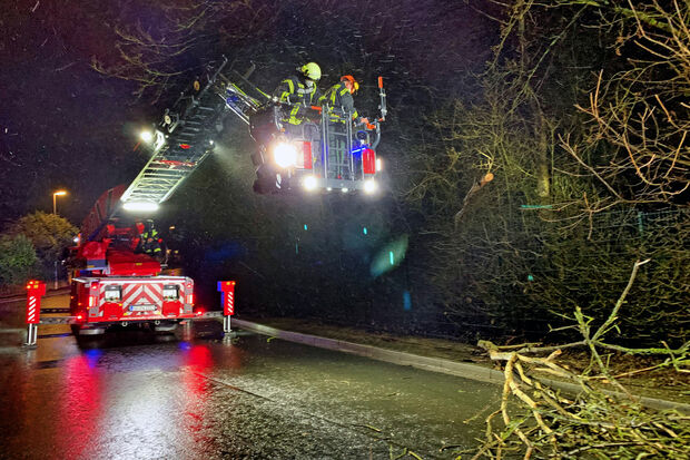 Bereits am Samstagabend musste die Wickeder Feuerwehr zu einem Baum an der Straße im Industriegebiet Westerhaar ausrücken, der durch den starken Wind in Schieflage geraten war und auf die Fahrbahn zu stürzen drohte. FOTO: FEUERWEHR WICKEDE