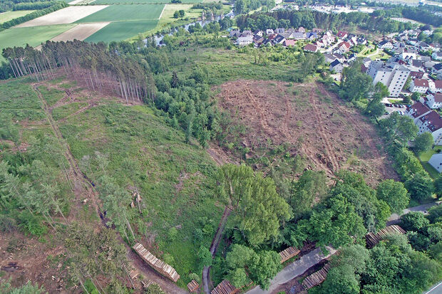 Der Hövelwald in Wickede wurde nach zwei schweren Stürmen inzwischen großteils gerodet und muss komplett neu wieder aufgeforstet werden – voraussichtlich in Form eines Mischwaldes. ARCHIVFOTO: ANDREAS DUNKER