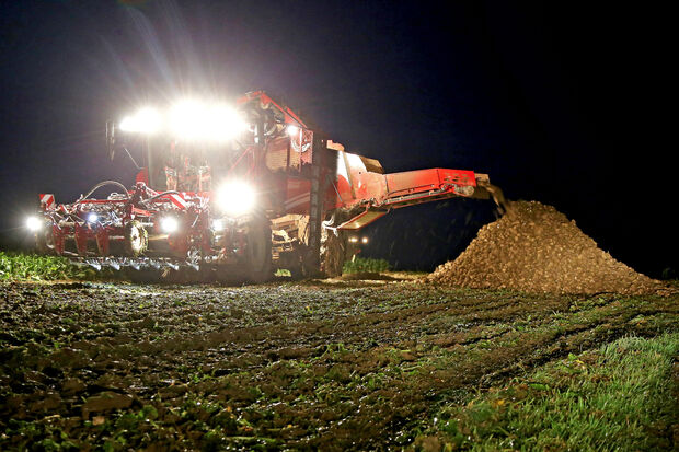 Ein riesiger Rübenroder während der Ernte in dieser Woche auf der Haar in Wiehagen FOTO: ANDREAS DUNKER