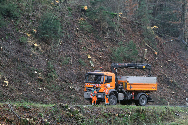 Ausgedünnt: Bäume und Sträucher am Hang des Echthausener Waldes FOTO: ANDREAS DUNKER