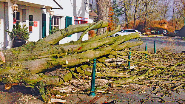 Vor dem Hotel und Restaurant "Haus Gerbens" an der Hauptstraße in Wickede fanden am Samstag bereits Aufräumarbeiten statt. Der vor dem Haupteingang umgestürzte Baum wurde zersägt und das Holz abtransportiert. FOTO: ANDREAS DUNKER