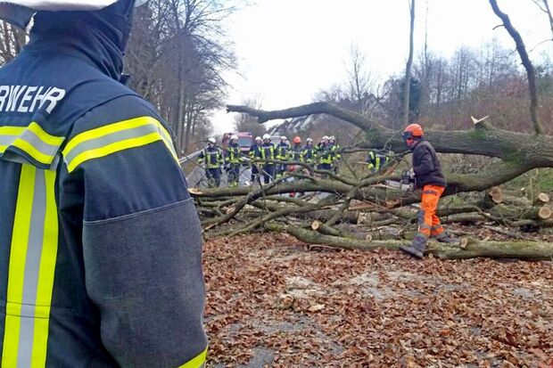 Aufräumarbeiten auf der Landstraße 732 in Echthausen FOTO: FEUERWEHR WICKEDE (RUHR)