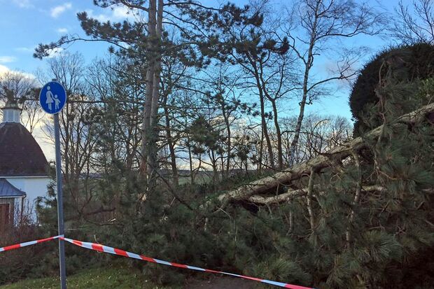 Sturmschaden an der Bergkapelle in Wiehagen FOTO: FEUERWEHR WICKEDE (RUHR)