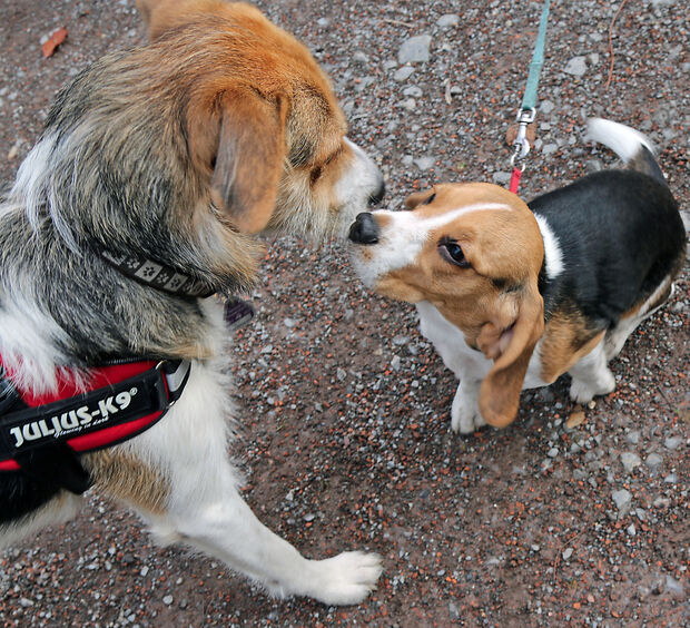 FOTO: ANDREAS DUNKER