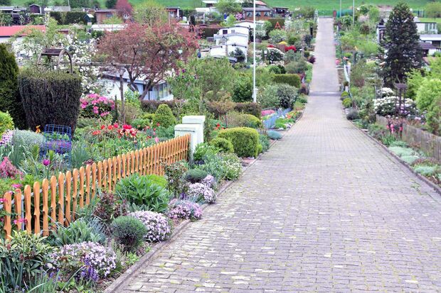 Ganz verschiedene Gärten auf kleinstem Raum ARCHIVFOTO: ANDREAS DUNKER