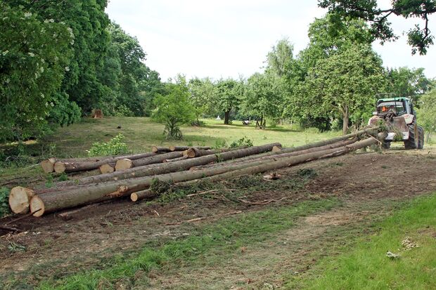 FOTO: ANDREAS DUNKER