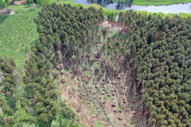 Luftbild des Sturmschadens im Hövelwald in Wickede FOTO: ANDREAS DUNKER